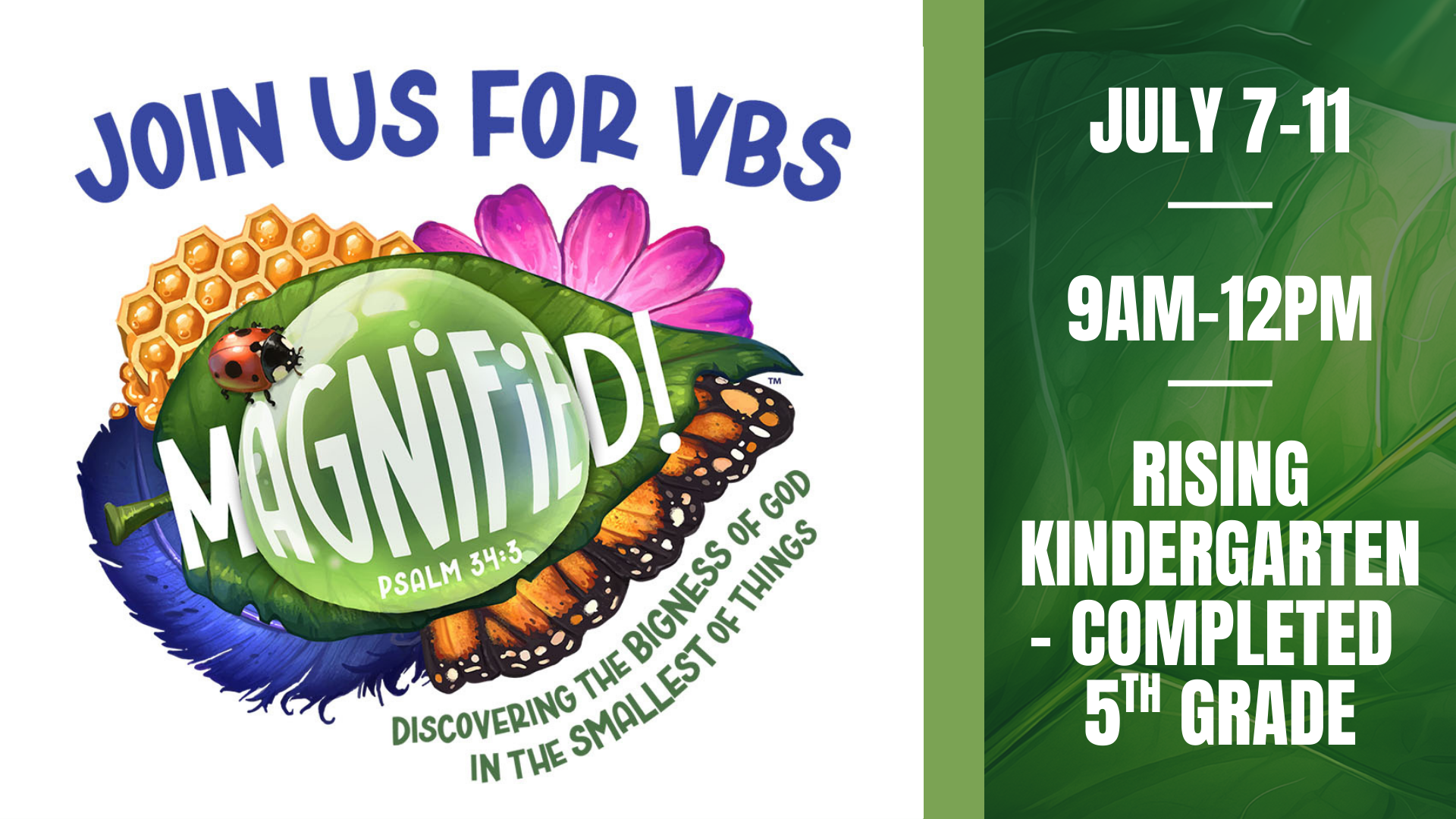 VBS Magnified Graphic Digital Bulletin