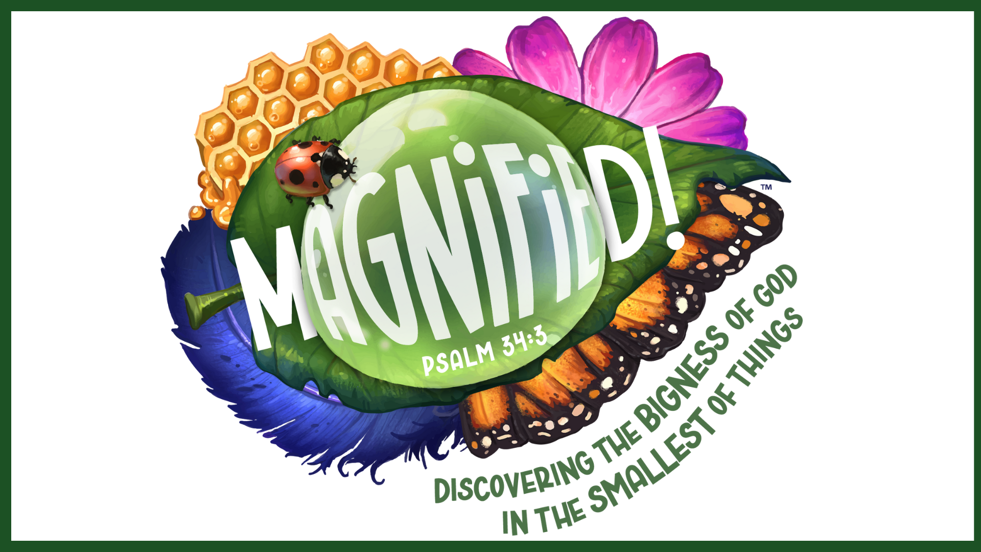 VBS Magnified Graphic Digital Bulletin (3)