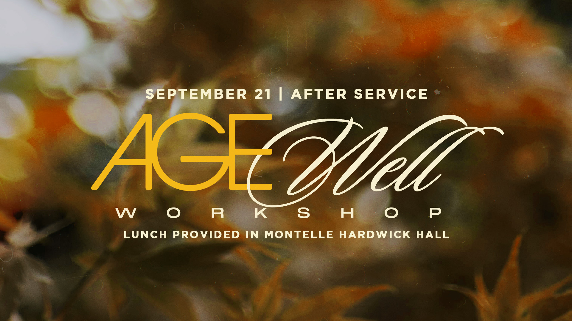 Age Well Workshop